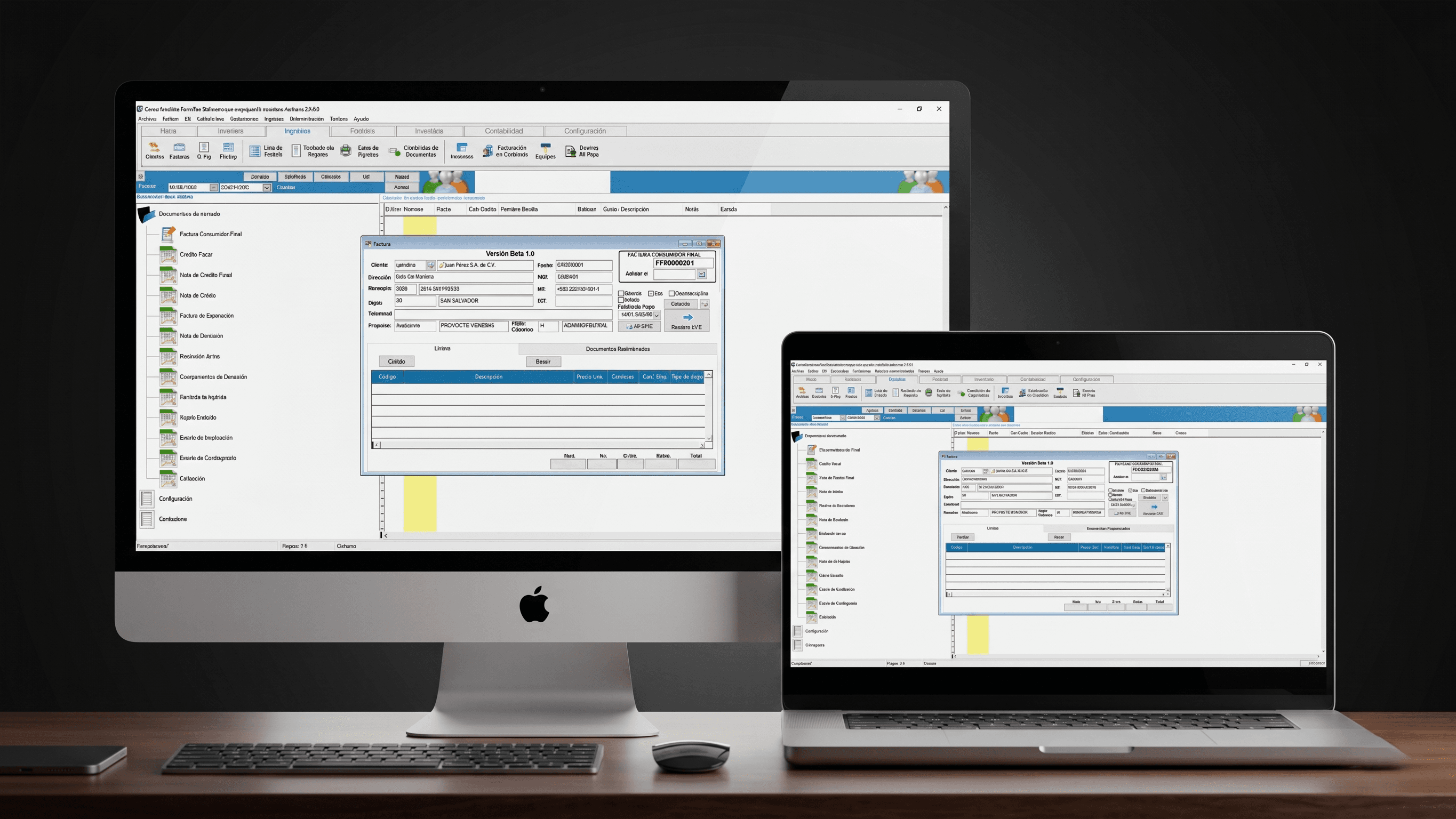 ERP Contable y Facturación Electrónica